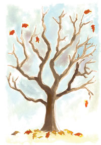 Illustration from “Liquidamber”